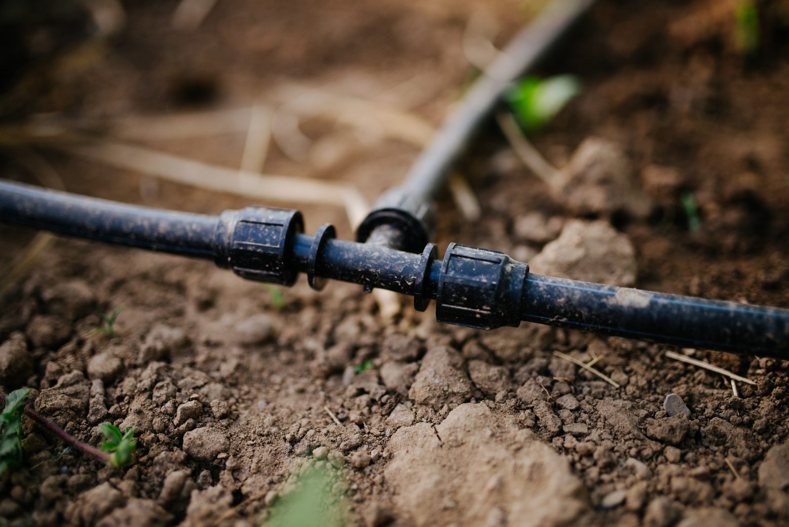 Black drip tubing joined by a tee fitting, resting on loose garden soil.